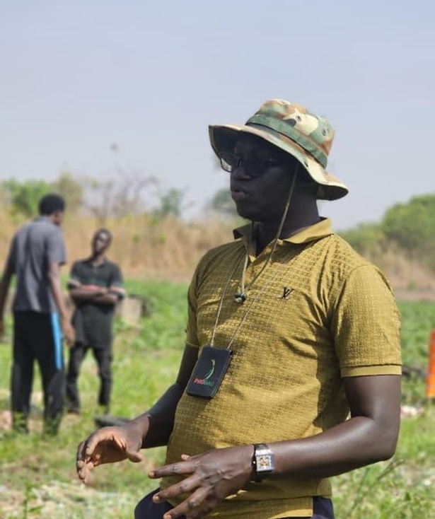 Aflatoxine dans le riz : « Ce n'est pas le riz qui est en cause, mais les conditions de conservation », alerte Pape Adama Diouf