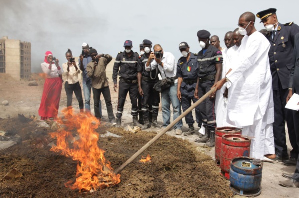 L’Octris brûle sept tonnes de chanvre indien L’Octris brûle sept tonnes de chanvre indien