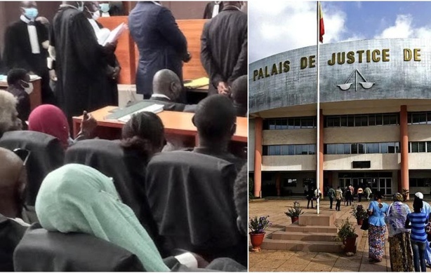 Faux permis et accident : le fils du ministre Alpha Thiam condamné, mais libre Faux permis et accident : le fils du ministre Alpha Thiam condamné, mais libre