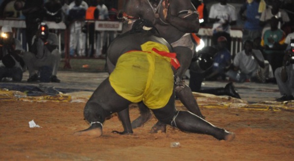 Modou Lo pousse Gris bordeaux à la retraite Modou Lo pousse Gris bordeaux à la retraite