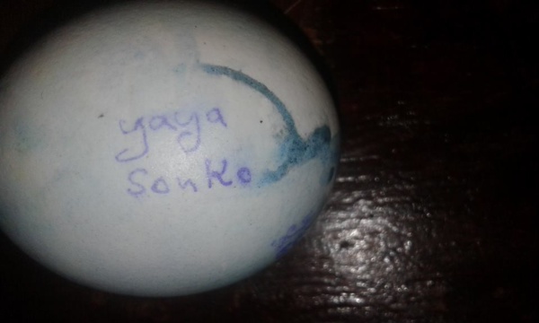 Bataille mystique: Des "Xons" de Niarry Tally contre les joueurs du Casa Sport découverts par un journaliste Bataille mystique: Des "Xons" de Niarry Tally contre les joueurs du Casa Sport découverts par un journaliste