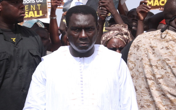 DG du port Cheikh Kanté:  champion de la  magouille et du Népotisme !