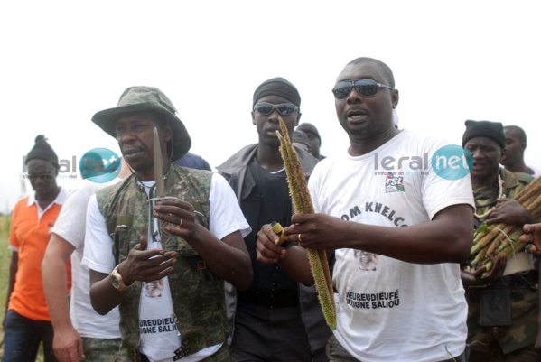 Arrogance: un nervis de Cheikh Amar arrêté