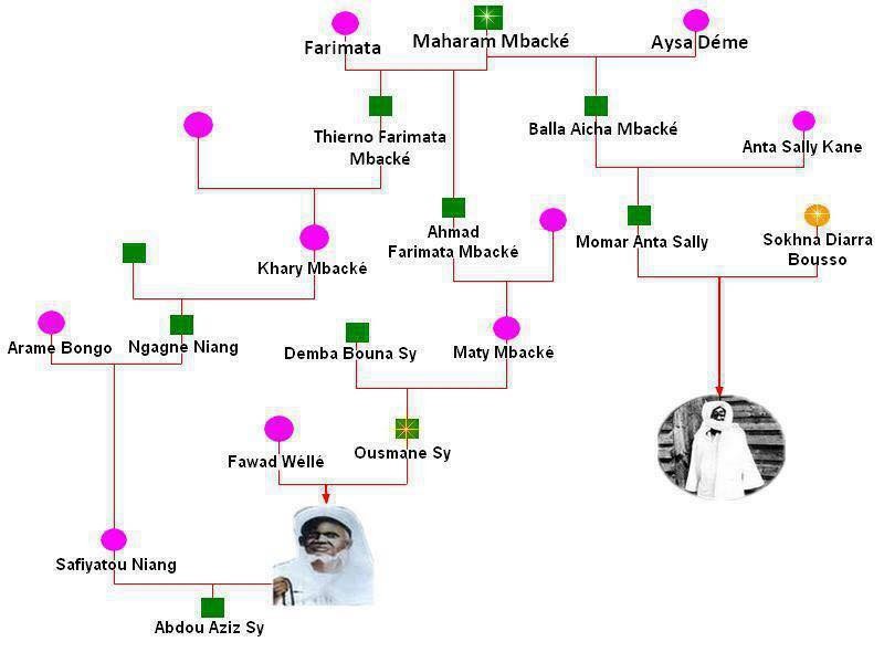 Les liens de parenté entre El Hadji Malick Sy et Cheikh Ahmadou Bamba