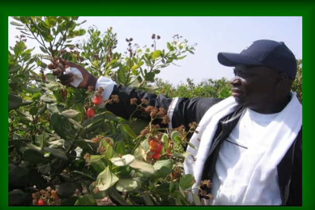 Décès de son frère: Yaya Jammeh réclame une autopsie 