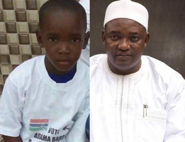 ​Le pitbull qui a mordu le fils de Adama Barrow tué par injection