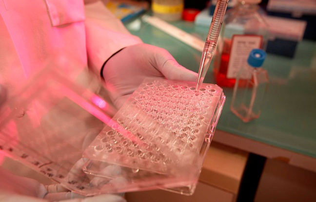 Vaccin contre le Sida: le laboratoire Biosantech arrête ses travaux