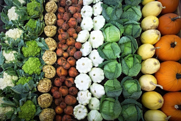Ces légumes qui protègent du cancer