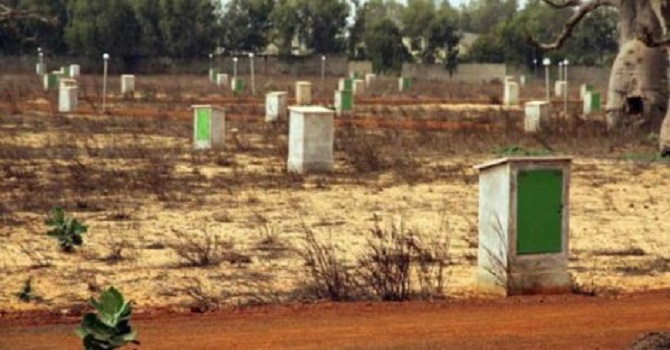 ​Règlement du litige foncier TF 1107/R : des graves accusations sur la DSCOS, la SN HLM et les Domaines