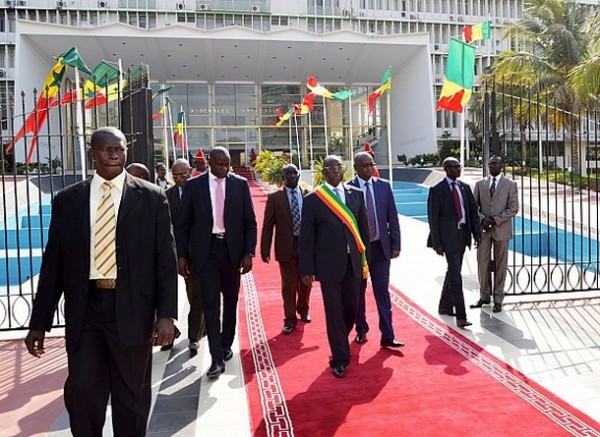 Énième pavé dans la mare d'une Assemblée Nationale Moribonde ( Par Dr Seck Mamadou)