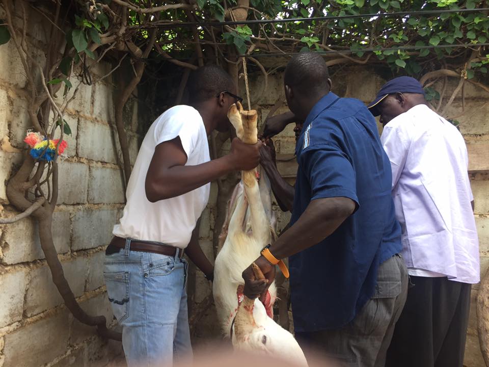Tabaski 2017: Patrice Sané surprend son monde 