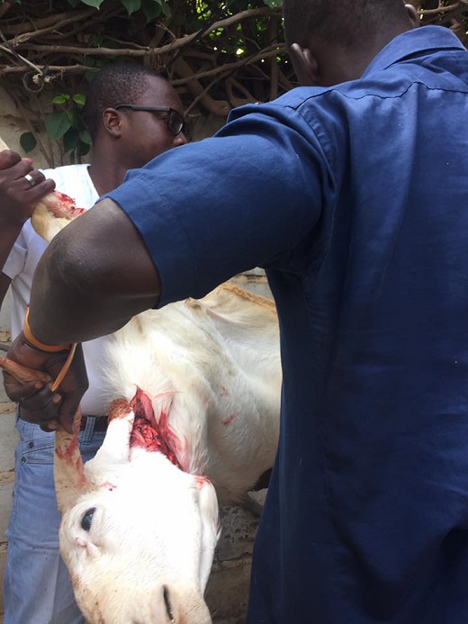 Tabaski 2017: Patrice Sané surprend son monde 