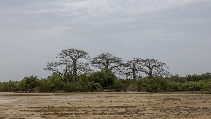 Zircon de Niafran : Et si nous prenions du recul ?  