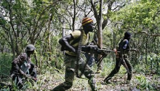 Attaque armée à Ziguinchor: 13 jeunes assassinés froidement