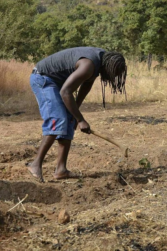 Tiken Jah Fakoly devient cultivateur