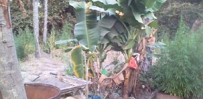 Au cœur d'une base rebelle en Casamance : Bunkers, munitions, médicaments, drogue…( Images)