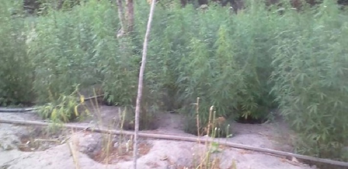 Au cœur d'une base rebelle en Casamance : Bunkers, munitions, médicaments, drogue…( Images)