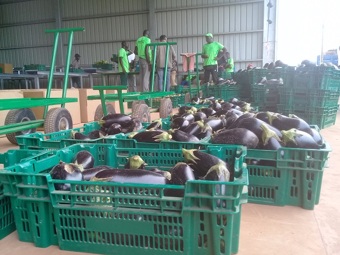 Bassirou Mané: «il n’y a pas un projet plus pertinent que celui du PRODAC...»