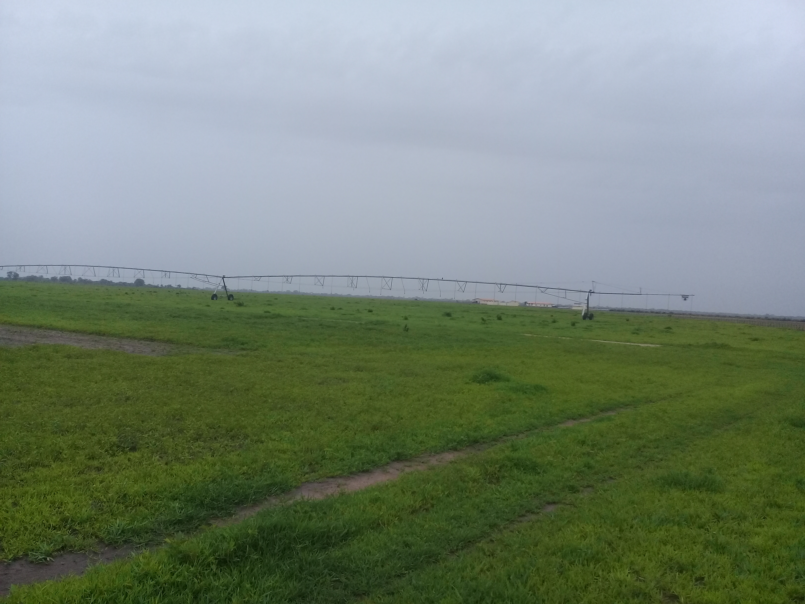 Bassirou Mané: «il n’y a pas un projet plus pertinent que celui du PRODAC...»