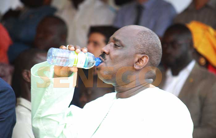 Présidentielle à Matam: Farba Ngom promet à Macky 99%