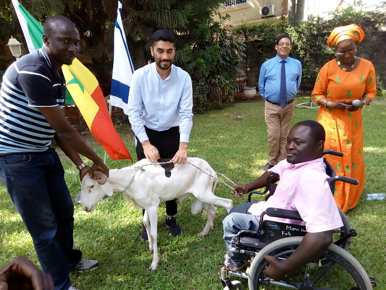 TABASKI 2018: Israël offre des moutons aux nécessiteux Sénégalais 