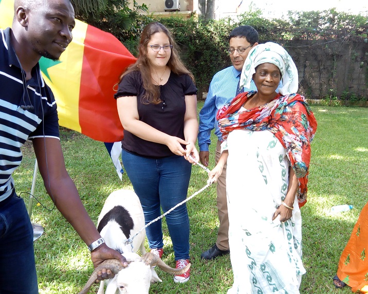 TABASKI 2018: Israël offre des moutons aux nécessiteux Sénégalais 