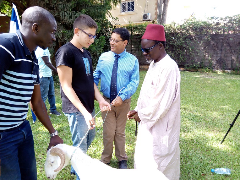 TABASKI 2018: Israël offre des moutons aux nécessiteux Sénégalais 