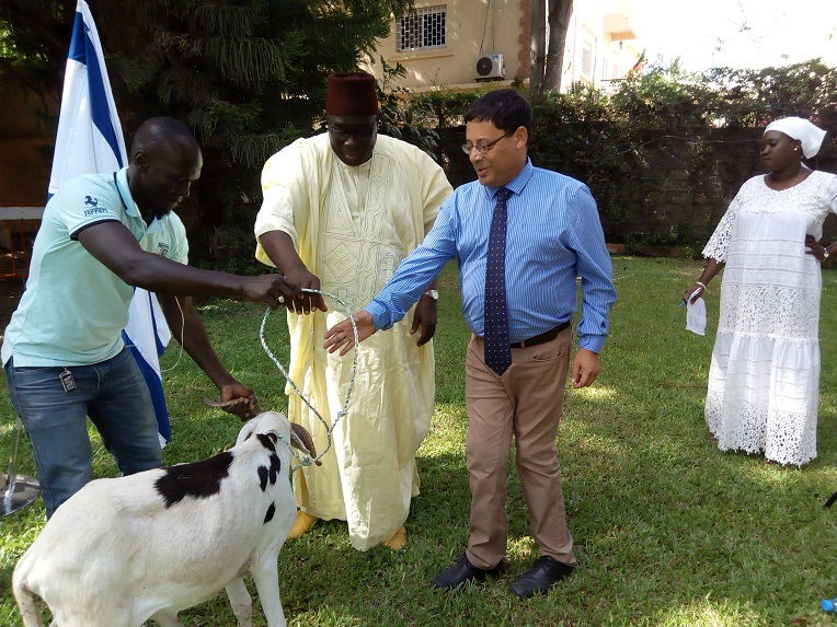 TABASKI 2018: Israël offre des moutons aux nécessiteux Sénégalais 