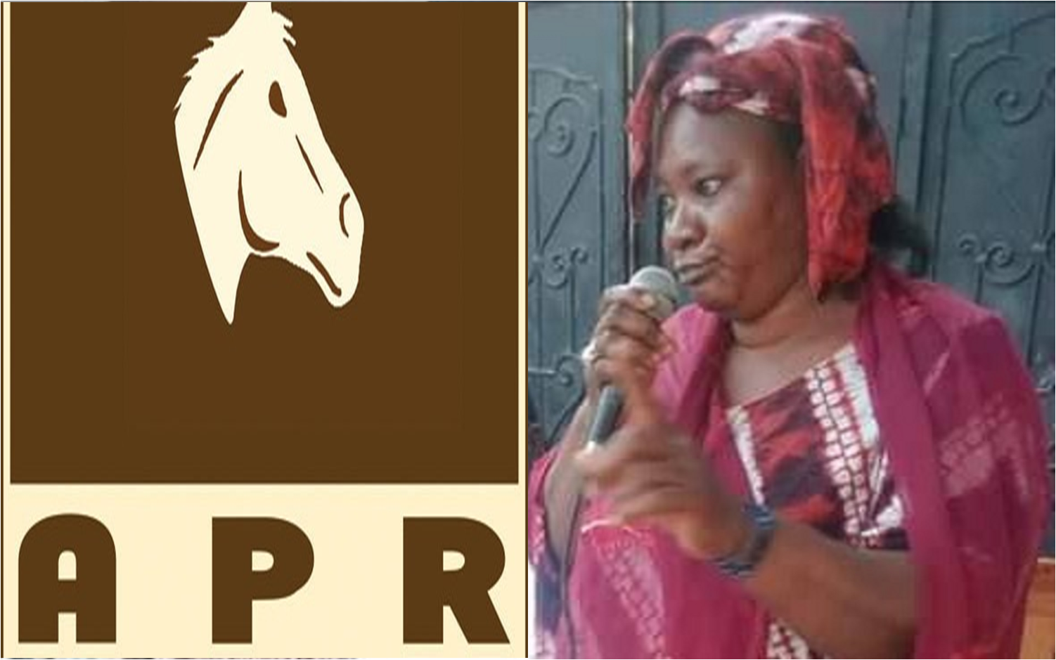 Vol de Cni : La responsable Apr de Mbour envoyée en prison