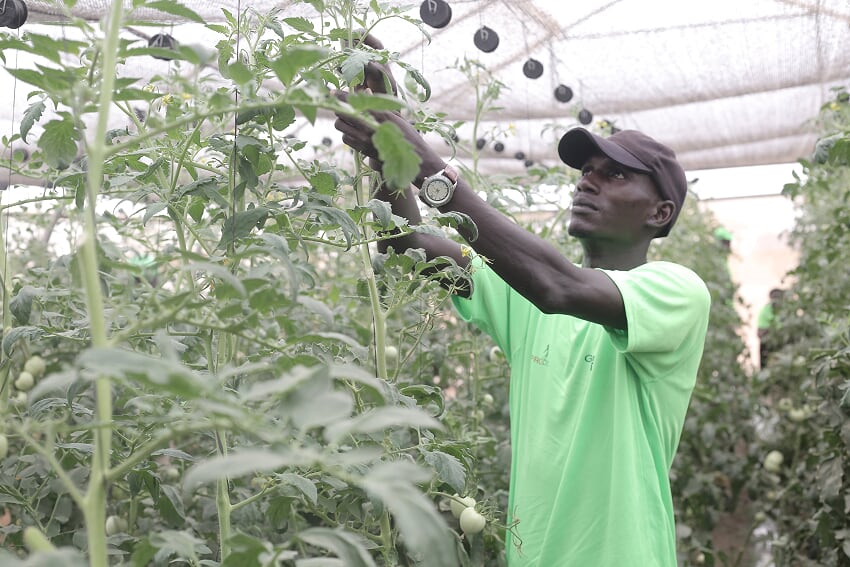 Le PRODAC monte en puissance et ravitaille le marché (Images)