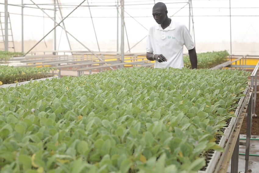 Le PRODAC monte en puissance et ravitaille le marché (Images)