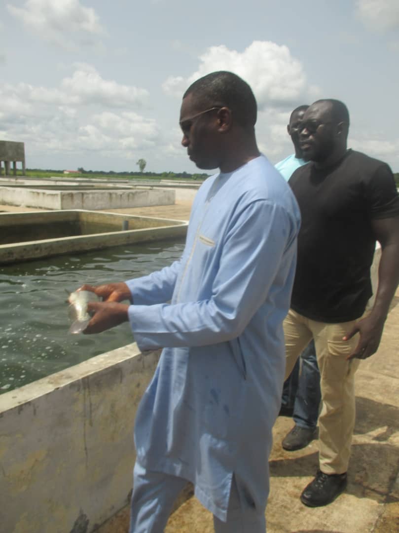 Le juge Déme tombe sous le charme du PRODAC