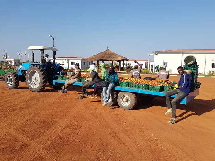Les produits du PRODAC sur le marché (Images)