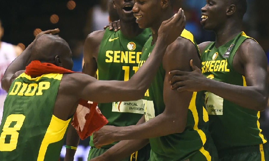 États Unis: Un lion du Basket arrêté…