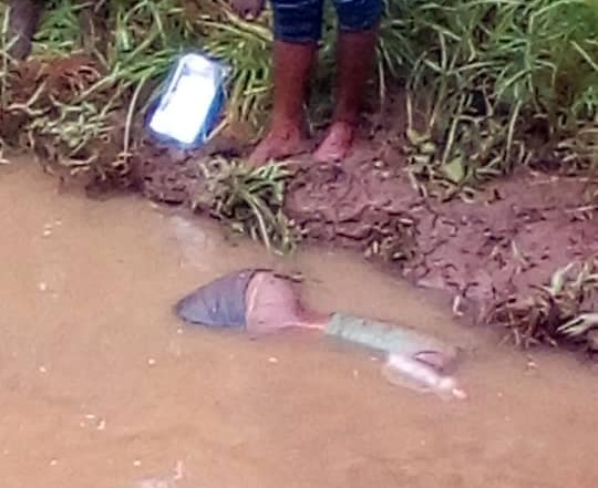 LINGUÈRE : Un corps sans vie retrouvé dans un bassin