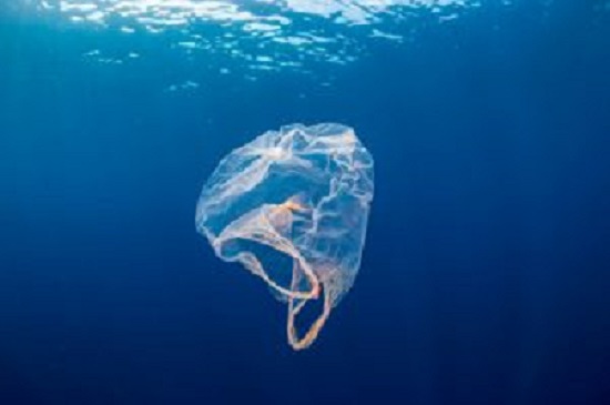 L’Europe peut-elle sauver l’environnement ?