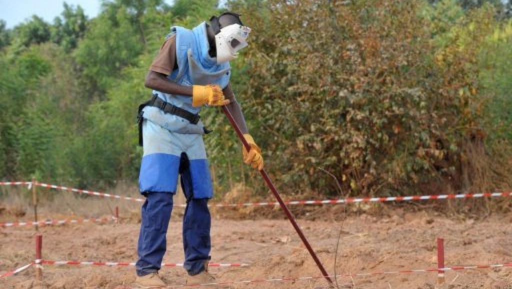 Arrêt du déminage à Goudomp