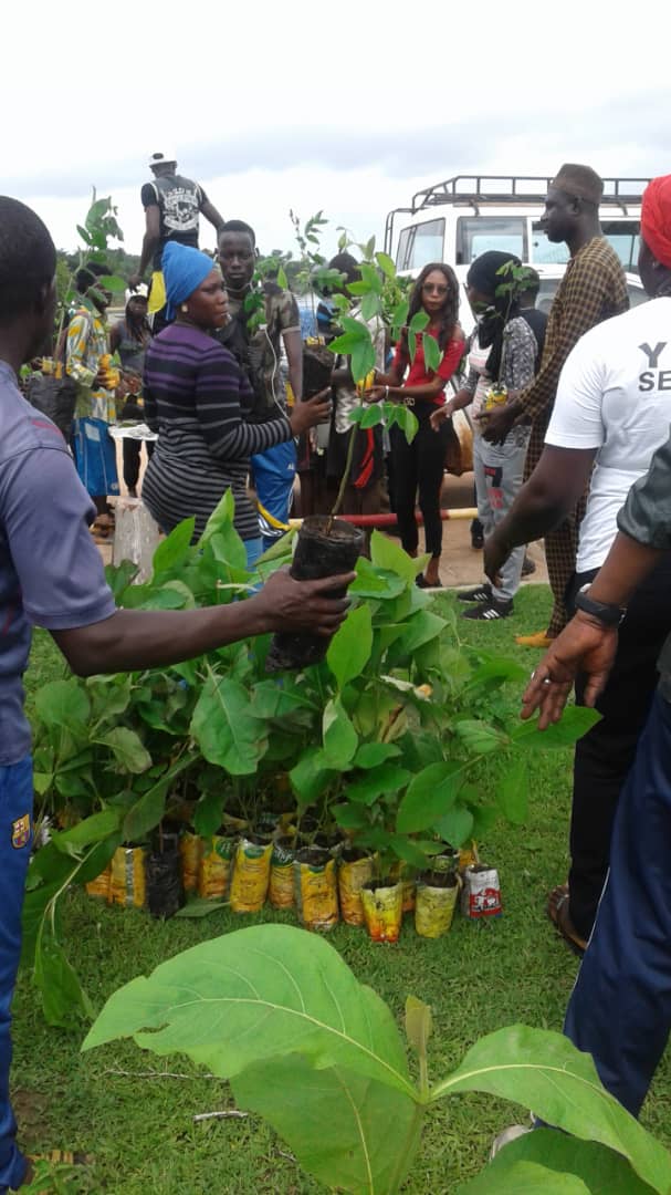  Affiniam: Plus de 1000 arbres plantés en une seule journée