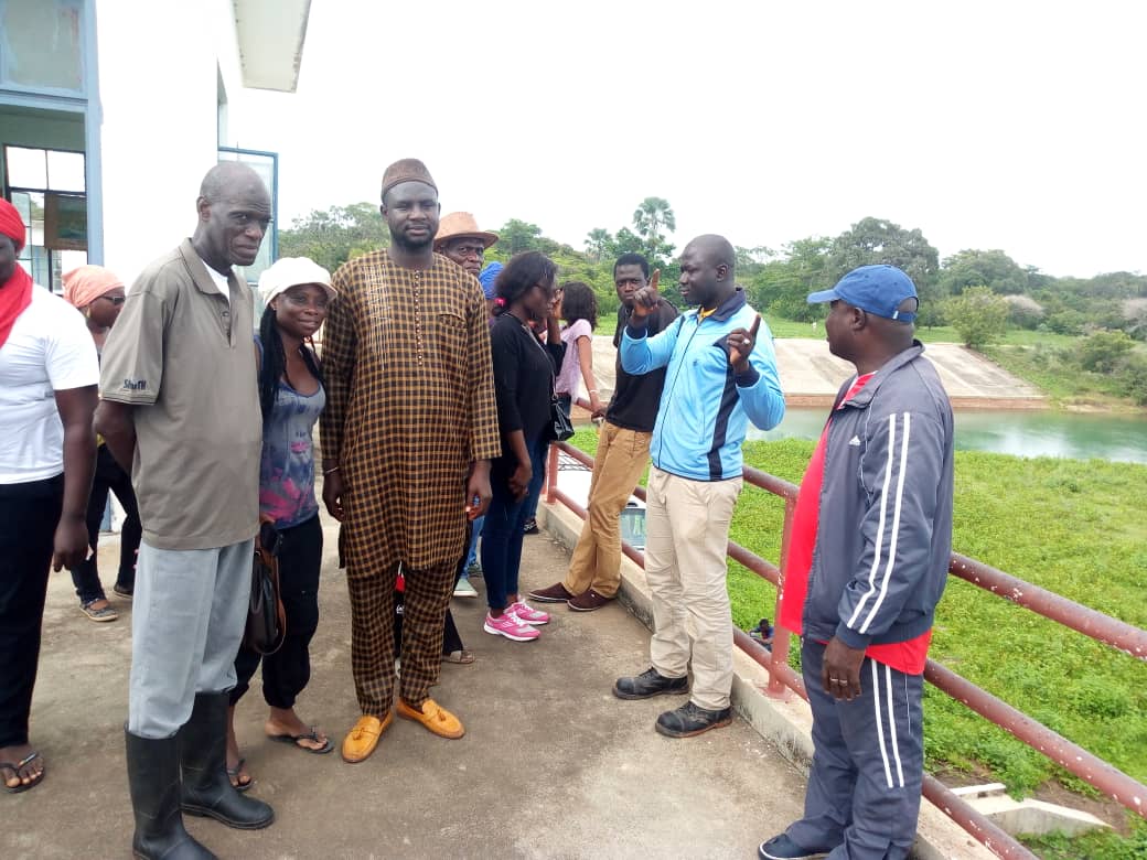  Affiniam: Plus de 1000 arbres plantés en une seule journée
