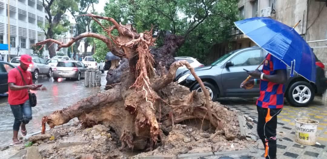 Violent orage : Un arbre déraciné par le vent, fait des dégâts devant Sorano...