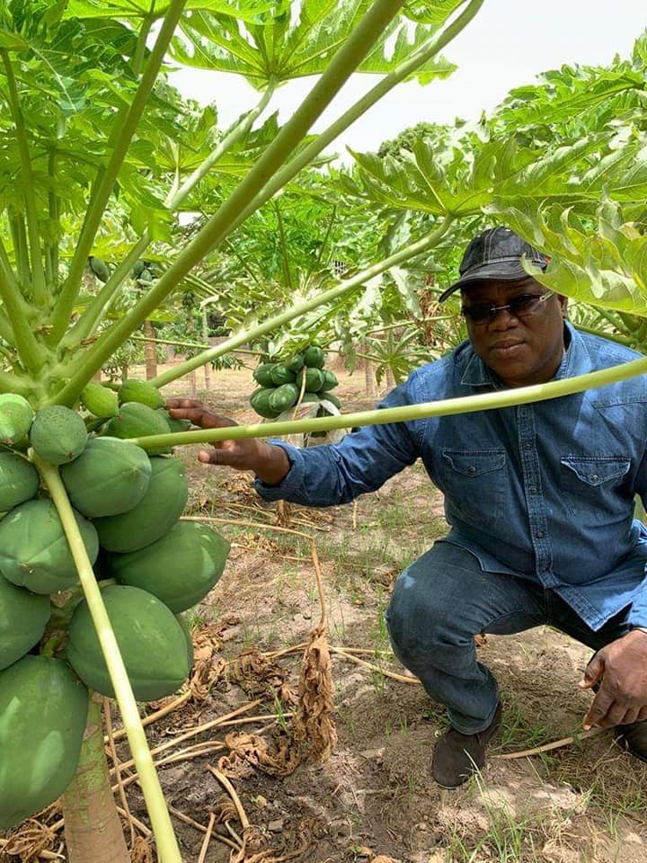 L'ancien ministre d'Etat, Abdoulaye BALDE se lance dans l'agriculture et ...