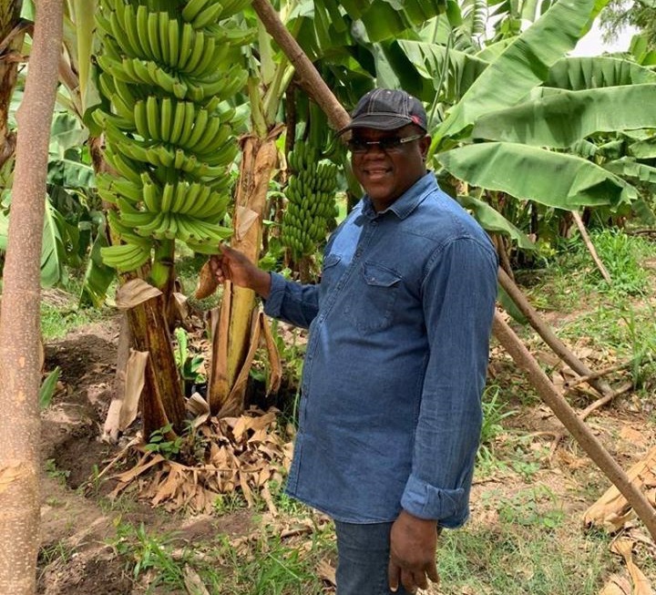 L'ancien ministre d'Etat, Abdoulaye BALDE se lance dans l'agriculture et ...