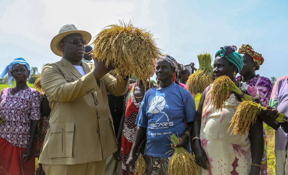 Casamance: Macky Sall prolonge les activités du PPDC