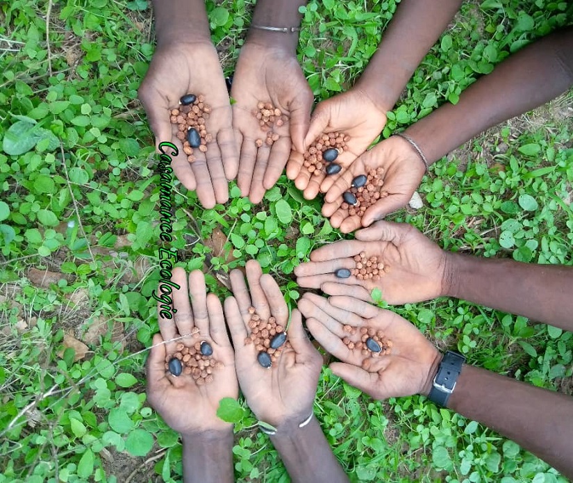Casamance : Un potentiel oublié