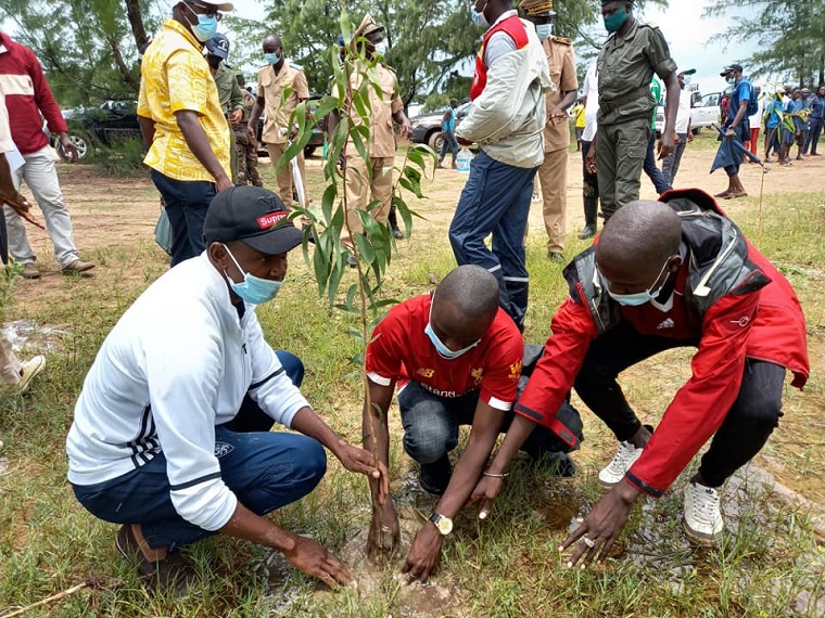 Littoral de Diembering: 10 mille arbres seront plantés