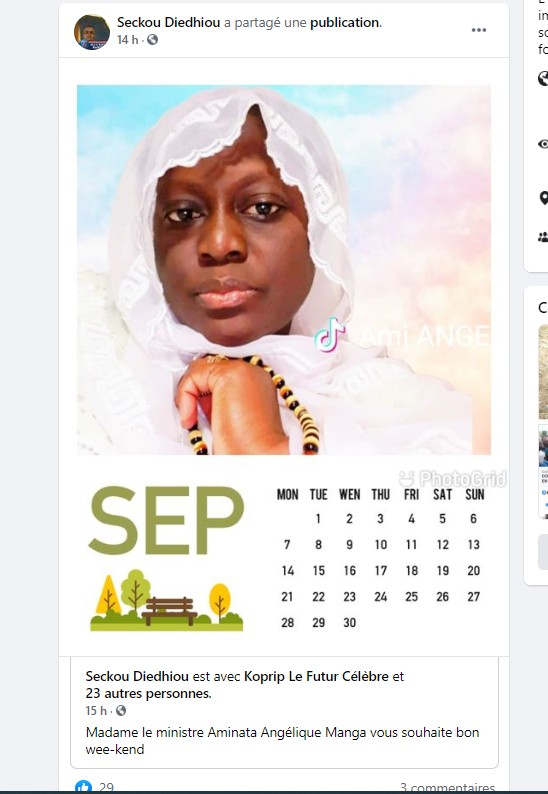  L'ex ministre Aminata Angélique Manga ?