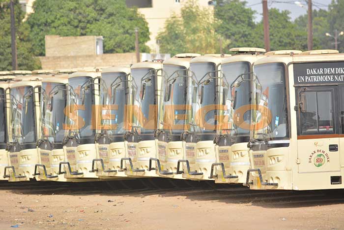 Déficit de carburant à Dakar Dem Dikk: des bus à l'arrêt ce vendredi