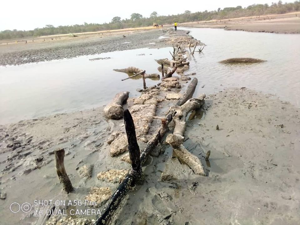 BIGNONA: A la découverte de Baranlir où les populations cotisent pour réaliser une piste de désenclavement