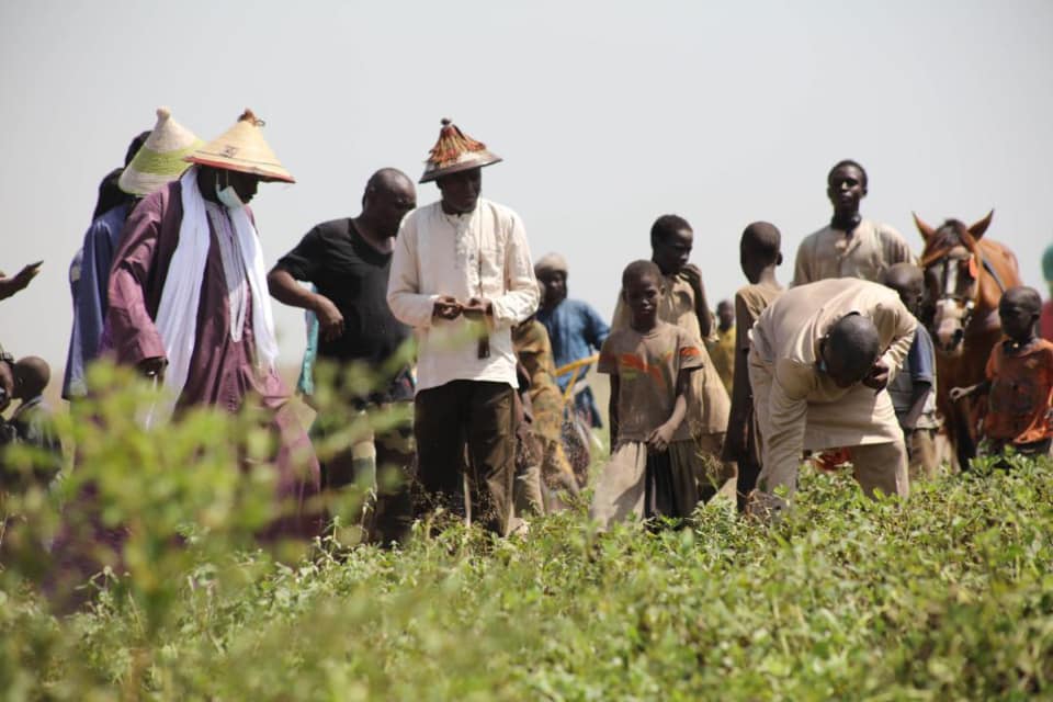 Aly Ngouille Ndiaye: "Nos récoltes ont été fructueuses...'
