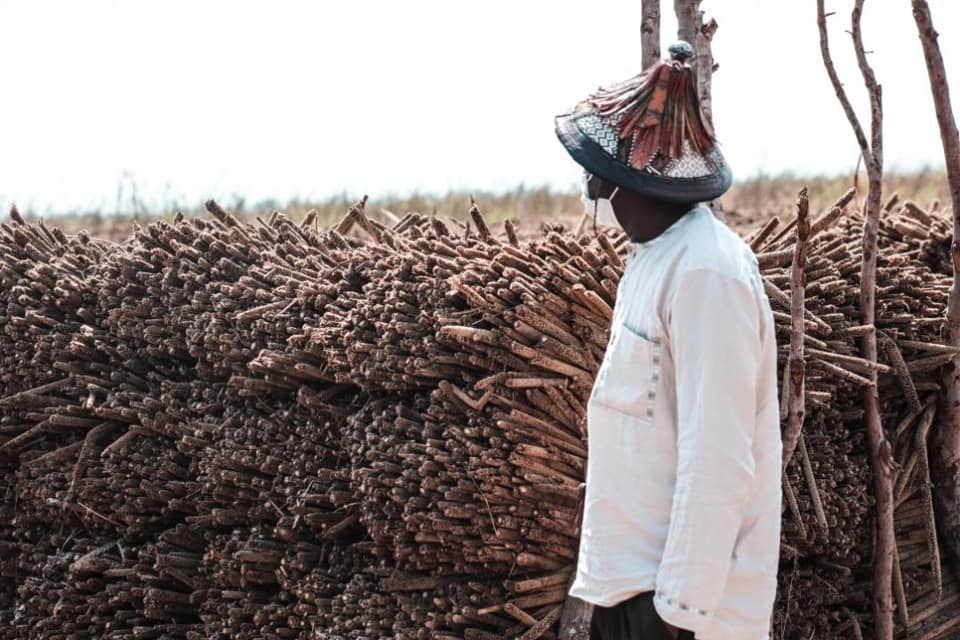 Aly Ngouille Ndiaye: "Nos récoltes ont été fructueuses...'